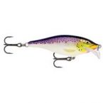 Scatter Rap Shad 05 PD